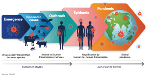 Outbreaks of Mpox & Avian Influenza raise global pandemic threat